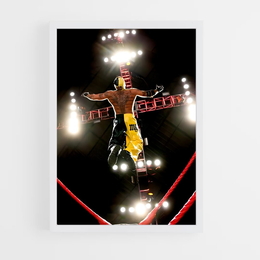 Poster Vol Suspendu (vue 3)
